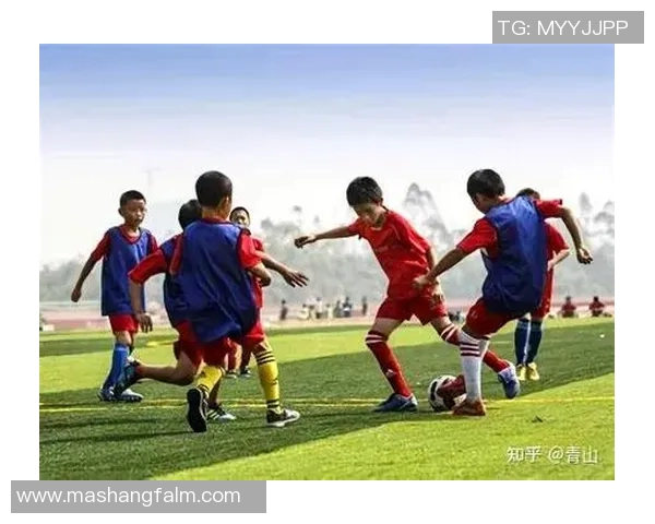 巴西足球明星小老虎的成长历程与辉煌成就全解析 巴西足球明星小老虎的成长历程与辉煌成就全解析