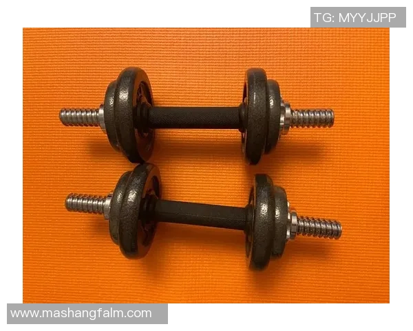 健身器材哑铃图片及价格一览适合各类健身爱好者的选择推荐