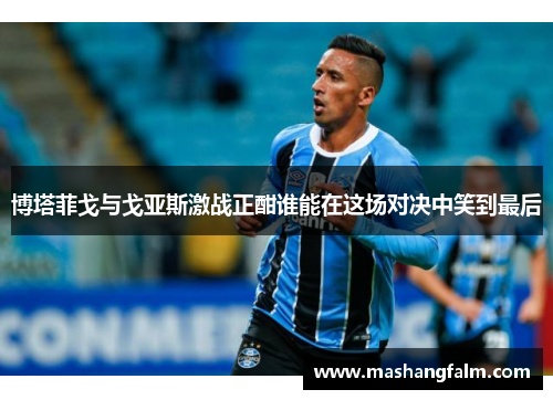 博塔菲戈与戈亚斯激战正酣谁能在这场对决中笑到最后