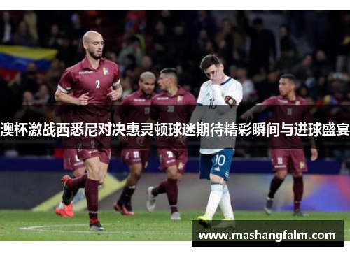 澳杯激战西悉尼对决惠灵顿球迷期待精彩瞬间与进球盛宴